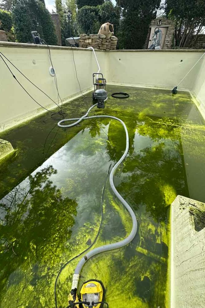 N’GUYEN Jérémy – nettoyage piscine en Provence - Pool cleaning in Provence