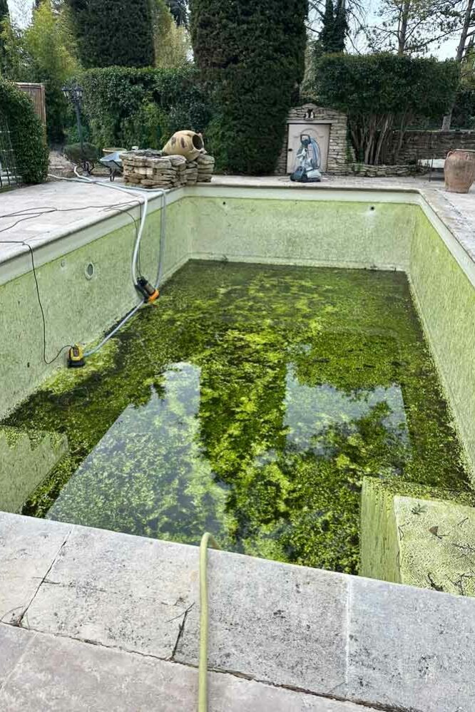 N’GUYEN Jérémy – nettoyage piscine en Provence - Pool cleaning in Provence