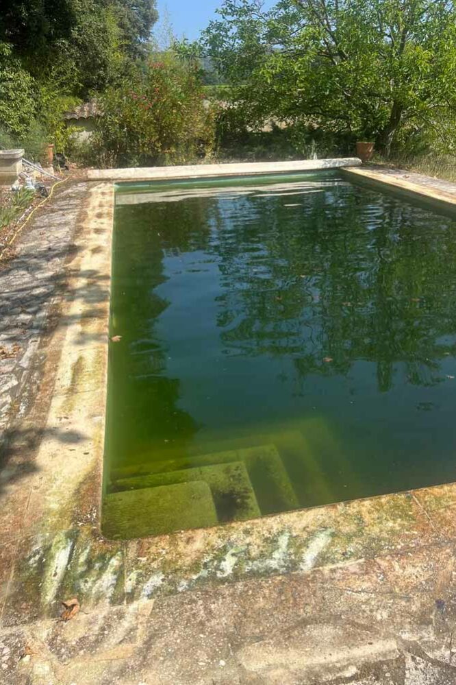 N’GUYEN Jérémy – Entretien de piscine en Provence - Pool maintenance in Provence