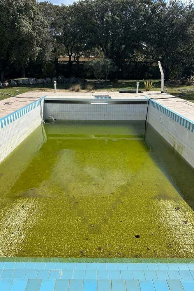 N’GUYEN Jérémy – rénovation de piscine en Provence - Pool renovation in Provence