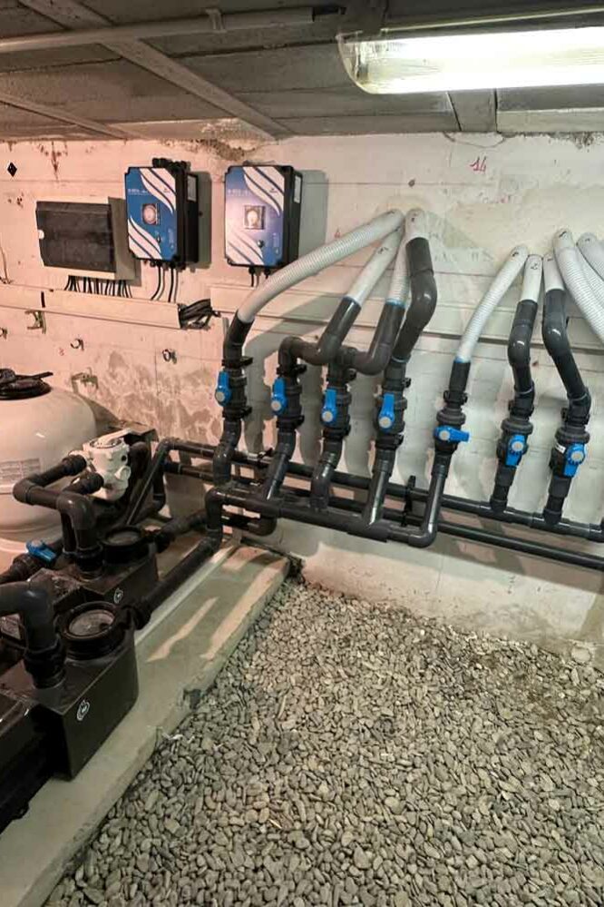 N’GUYEN Jérémy – rénovation de piscine en Provence - Pool renovation in Provence