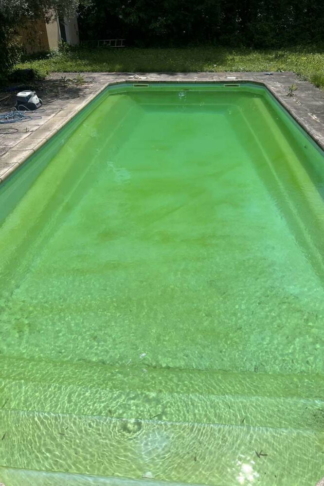 N’GUYEN Jérémy – Entretien de piscine en Provence - Pool maintenance in Provence